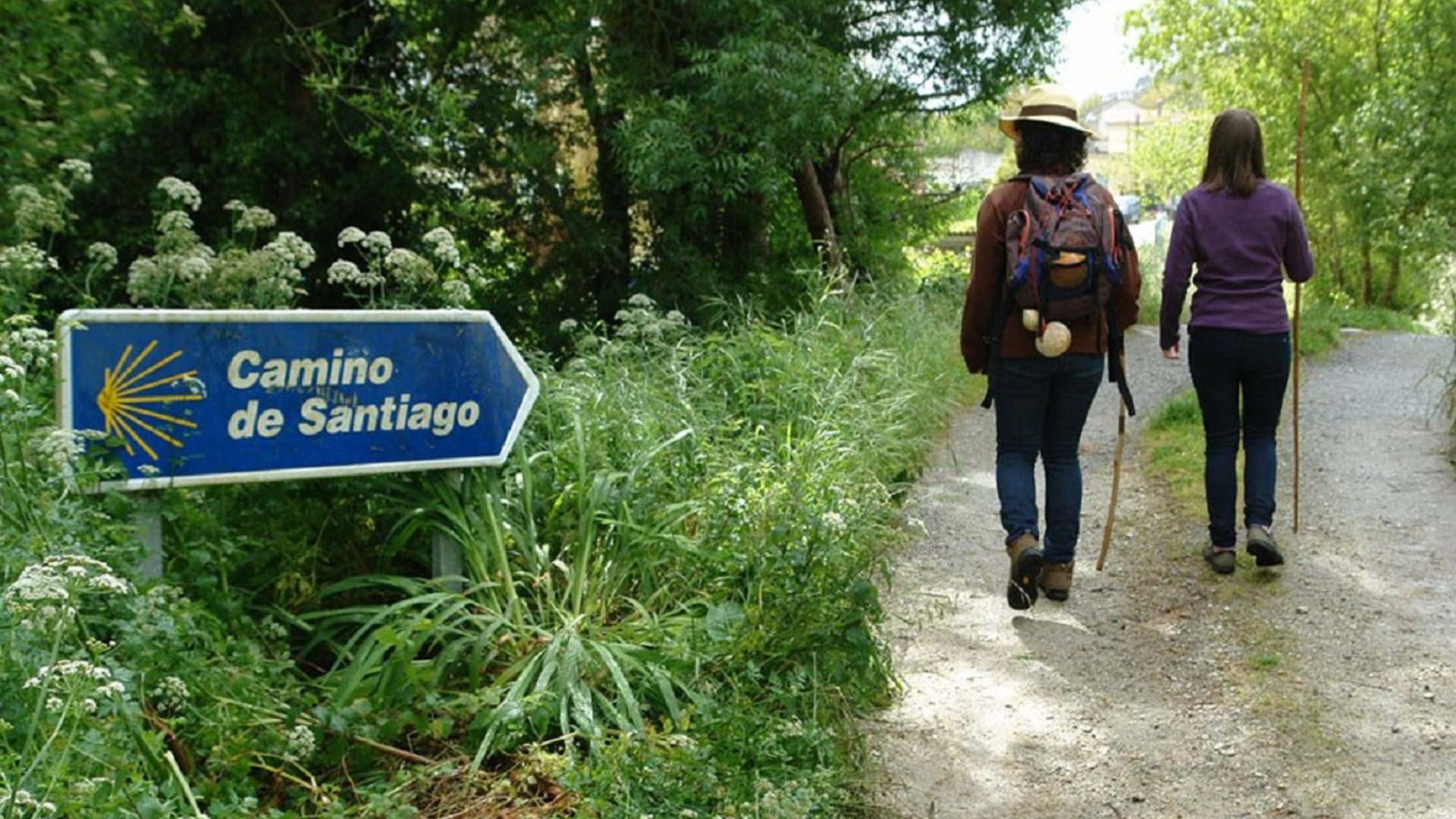 Ponte en camino con nosotros