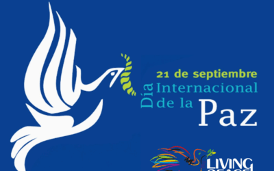 Jornada global por la paz 2025