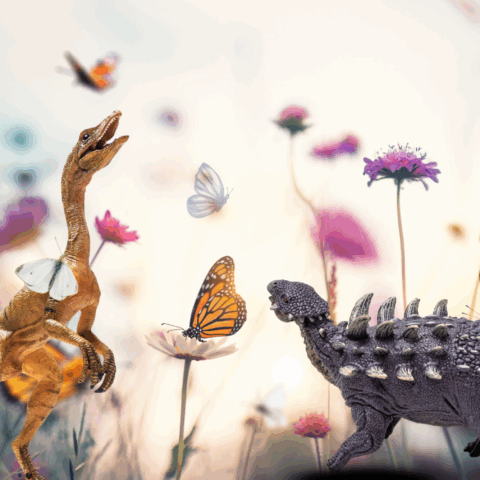 Mariposas o dinosaurios